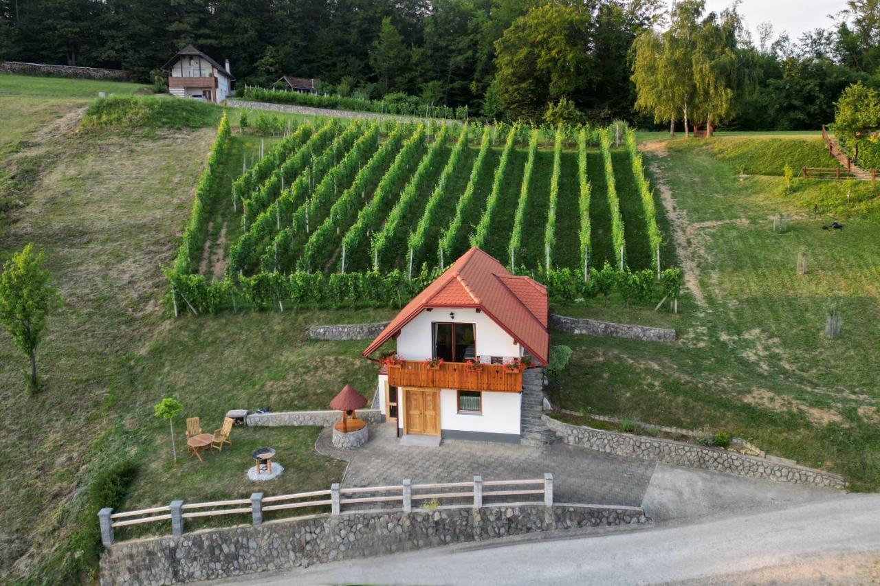 Vineyard Cottage Krivic Trebelno Extérieur photo
