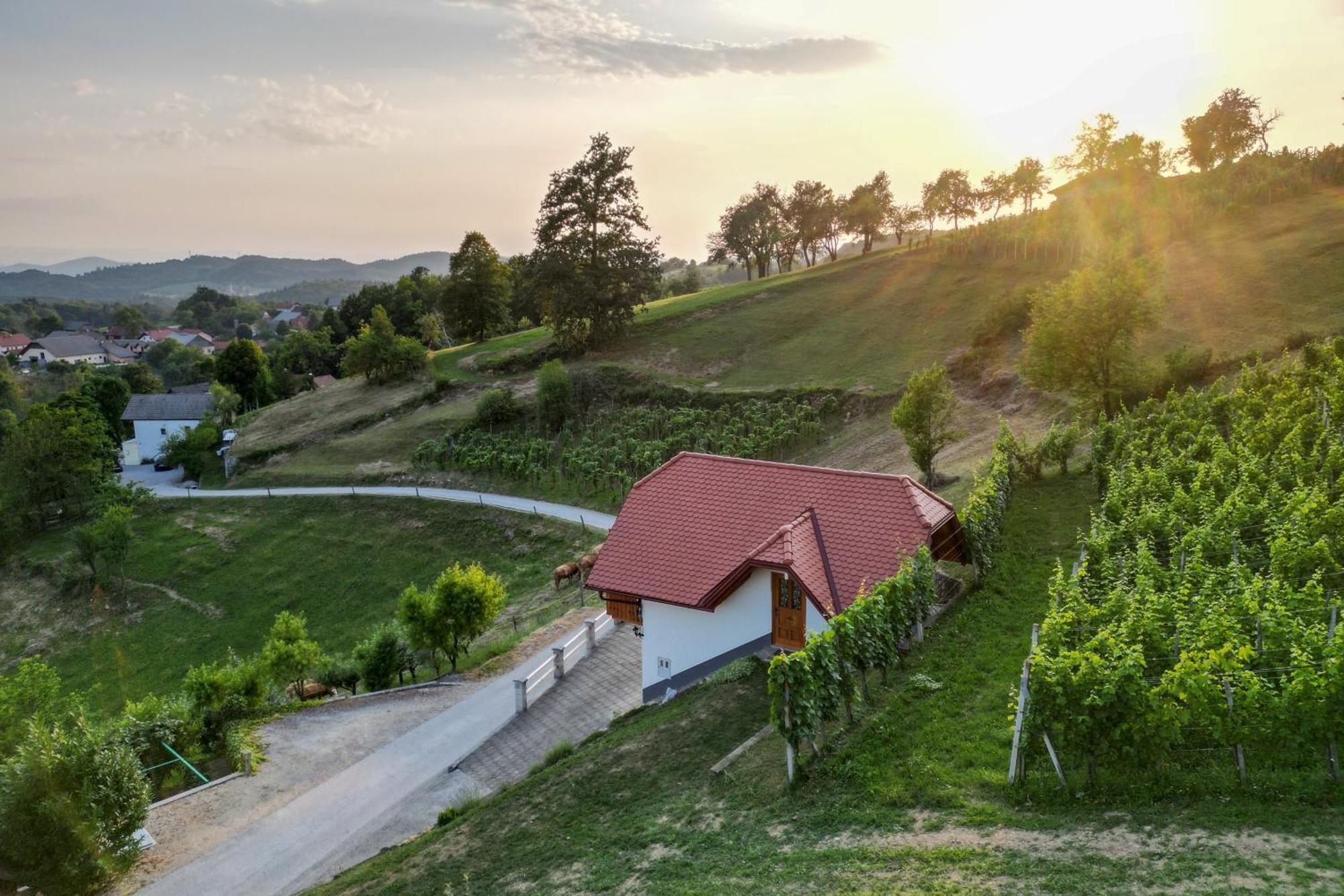 Vineyard Cottage Krivic Trebelno Extérieur photo