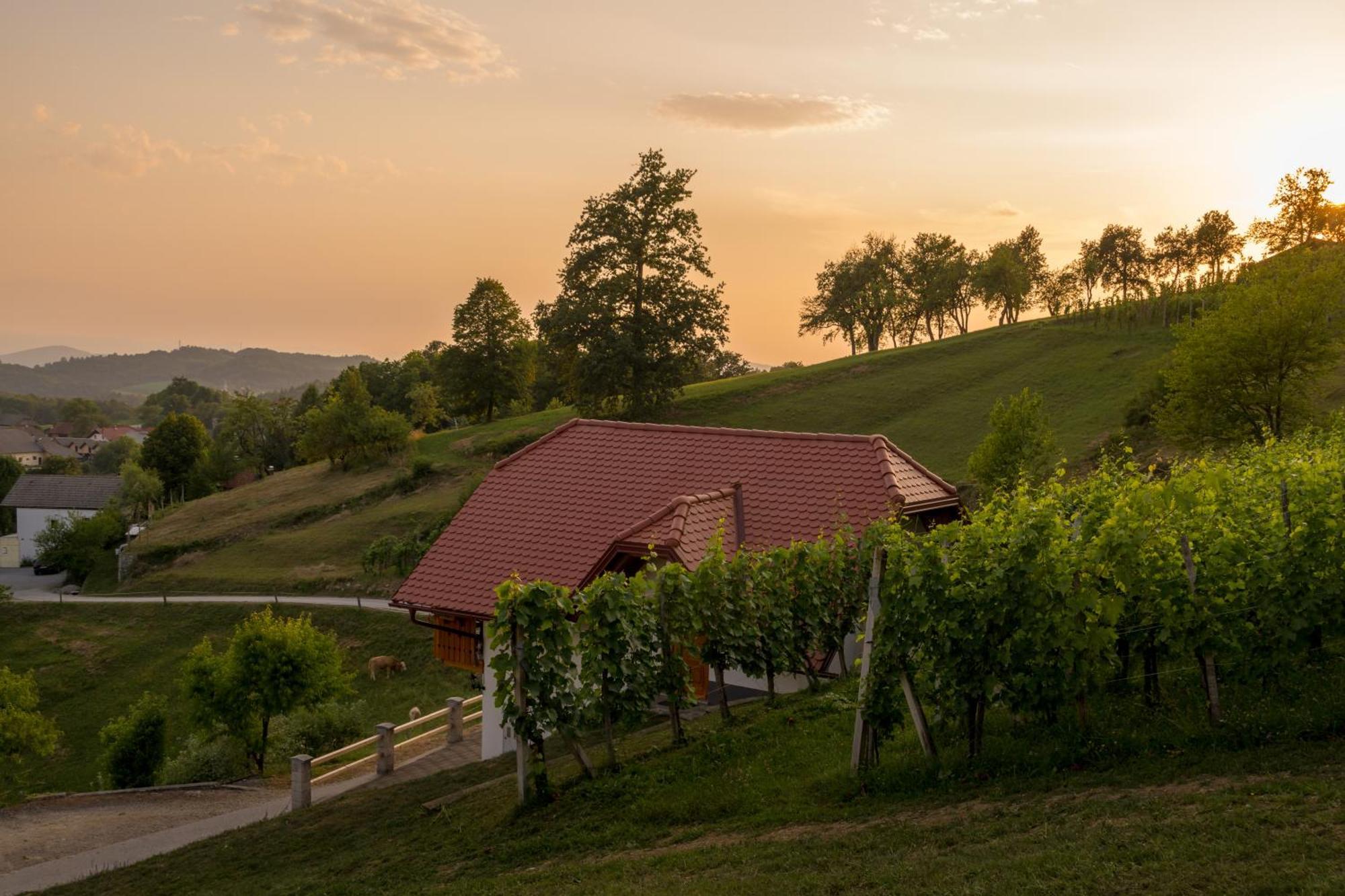 Vineyard Cottage Krivic Trebelno Extérieur photo