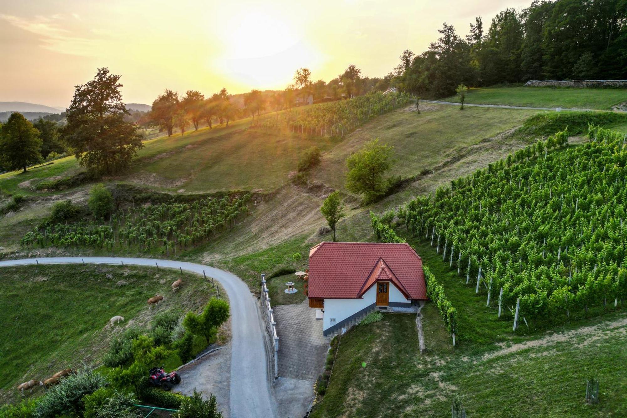 Vineyard Cottage Krivic Trebelno Extérieur photo